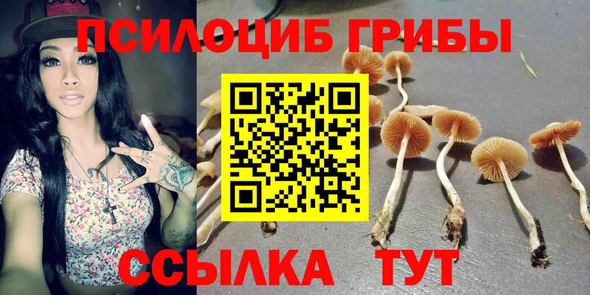 магазин продажи наркотиков  Галлюциногенные грибы мицелий  Вход с VPN  Заволжье  Псилоцибиновые грибы GOLDEN TEACHER 